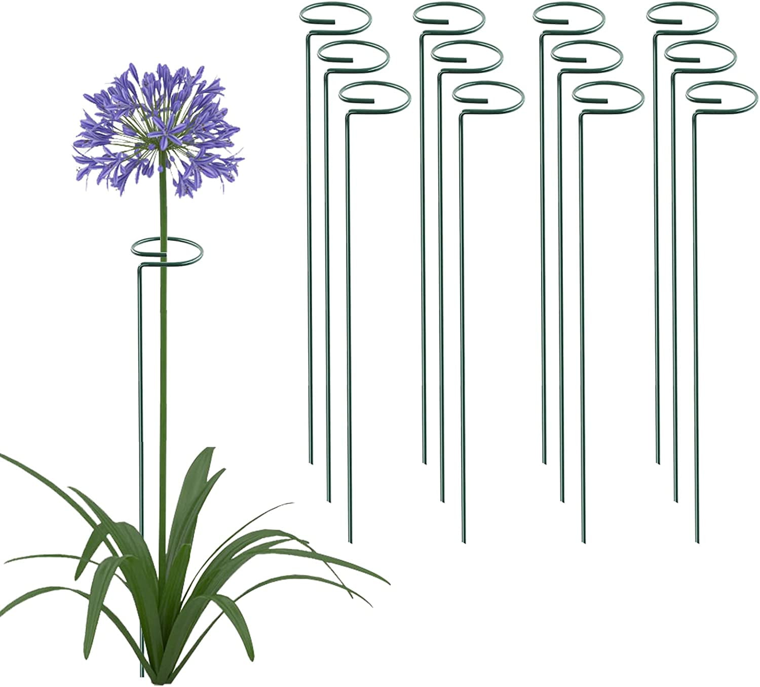 12 Pack 16 Inch Plant Support Stakes, Metal Single stemmed Flower