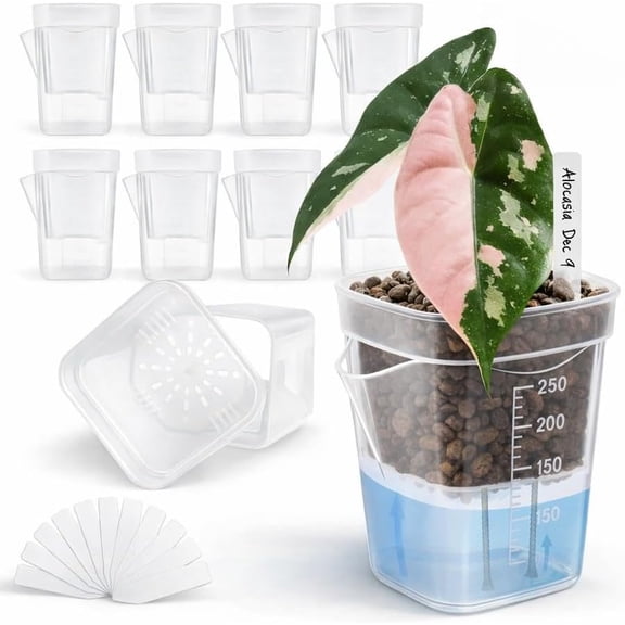 12 Pack 2.5" Clear Self Watering Pots with Wick System, Water Level Indicator & Drainage Hole, Consistent Moisture for Seedlings, Cuttings, Alocasia Corm & African Violet, 12 Plant Labels Included