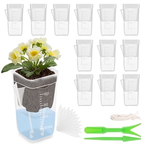 2 Inch Pots for Patio and Garden
