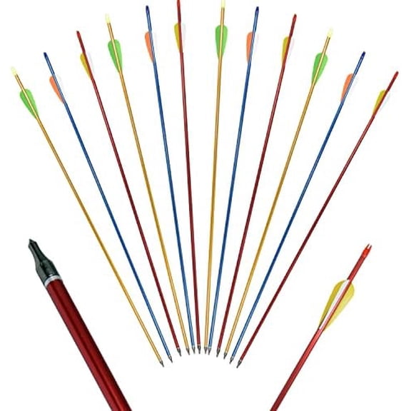 12 Pack 30 inch Aluminum Arrows with Removable Tips for Compound & Recurve Bow Target Practice Hunting$$Other