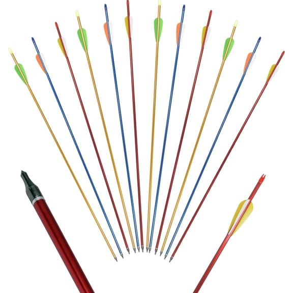 12 Pack 30 inch Aluminum Arrows with Removable Tips for Compound & Recurve Bow Target Practice Hunting