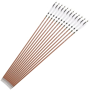 12-Pack 31-Inch Pure Carbon Arrows SP340-600 with 5-Inch Feathers Recurve Bow Archery Hunting Use