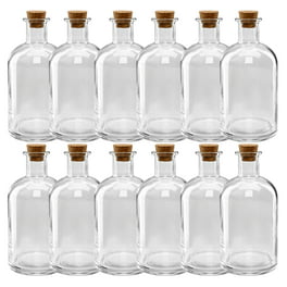 Otis Classic Swing Top Glass Bottles with Lids - Set of 6, 16oz, Flip Top  Stoppers 