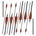 12 Pack Archery 500 Spine Carbon Arrows with Real and Removable Tips