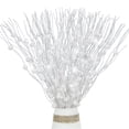 thumbnail image 1 of 12 Pack Artificial Glitter Berry Stem Ornaments 17 inch Fake Christmas Picks Decorative White Glittery Twigs Sticks Branches for Xmas Tree Vase DIY Wreath Crafts Home Decor, 1 of 8