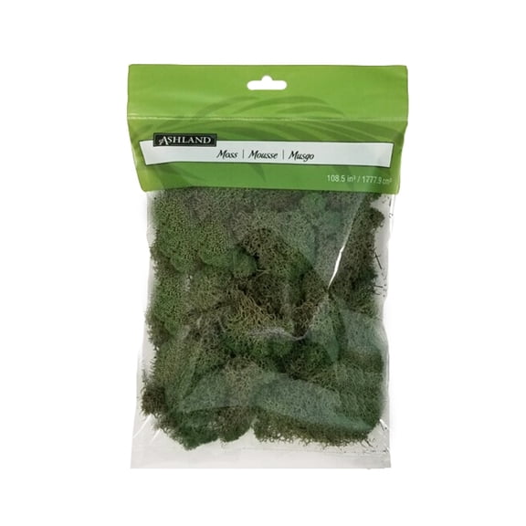 Ashland Basil Green Reindeer Moss, 12 Pack
