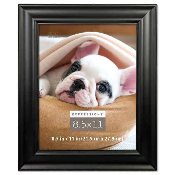 Studio Decor Black 8.5" x 11" Document Frame, Expressions, 12 Pack