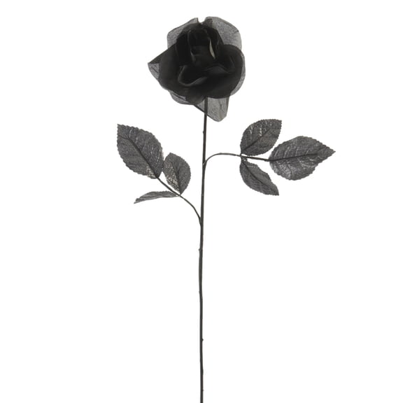 12 Pack: Black Open Rose Stem by Ashland