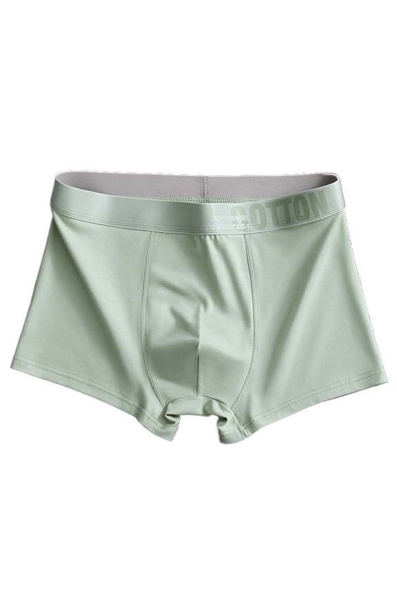 12 Pack Boxer Briefs Mens Underwear Letter Inner Crotch Loose Breathable Youth Ed Shorts