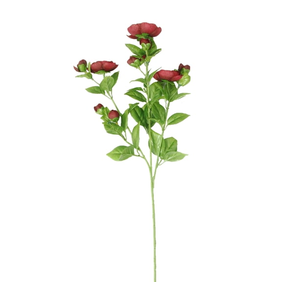 12 Pack: Burgundy Ranunculus Spray by Ashland