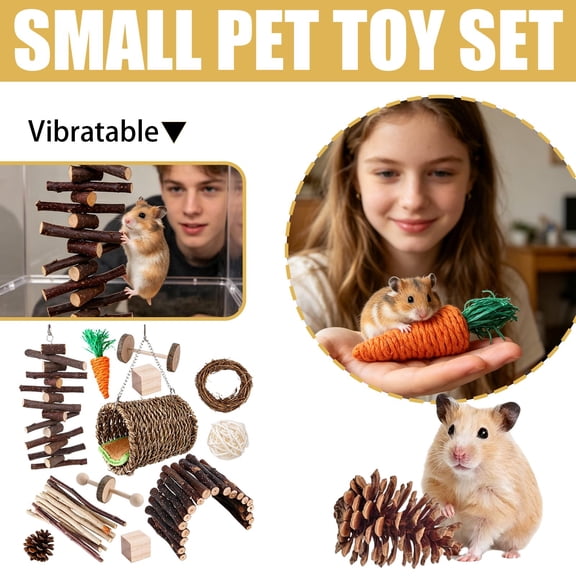 12 Pack Chinchillas Chew Toys, Toys Accessories for Teeth Care, Natural Apple Wood Ladder Bell Roller for Russian Hamster Gerbils Rats Guinea Pigs