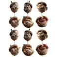 thumbnail image 1 of 12 Pack Christmas Ornaments Wooden Sleeping Forest Animal Hanging Ornaments Woodland Christmas Decorations for Home Christmas Tree Decor for Indoor Holiday Party Winter Display, 1 of 3