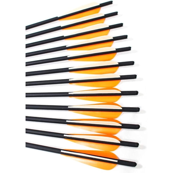 12 Pack Crossbow Bolts Carbon Arrows,16/18/20/22 Inch Hunting Archery Bio Crossbow Arrows with Moon Nocks, Removable Arrowhead (16 Inch)$$Other