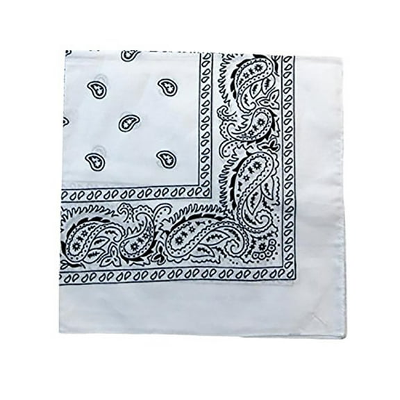 12 Pack Daily Basic 100% Cotton 22 x 22 in Paisley Printed Bandana