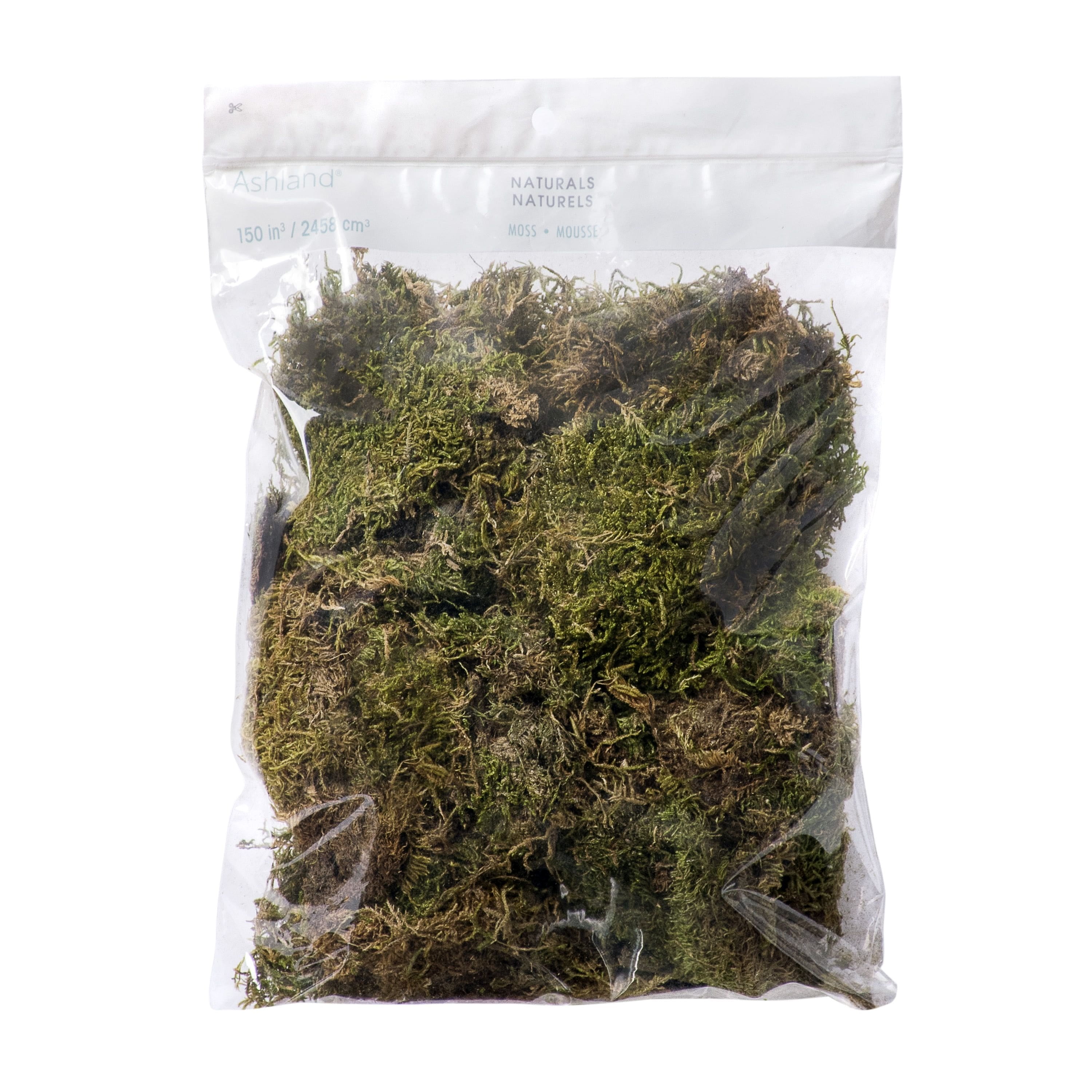Ashland Decorative Moss, 12 Pack