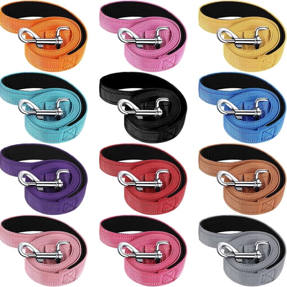 12 Pack Double Sided Reflective Dog Leash, Nylon Leashes with Padded Handle for Small, Medium, and Large Dogs, 5 Feet Long, Perfect for Walking and Training