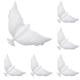 12-Pack Dove Balloons Memorial Release in Sky,Biodegradable White Angel Lanterns Funeral Party Decorations for Loss of Loved One,Celebration of Life Favors,Happy Birthday in Heaven RIP Supplies