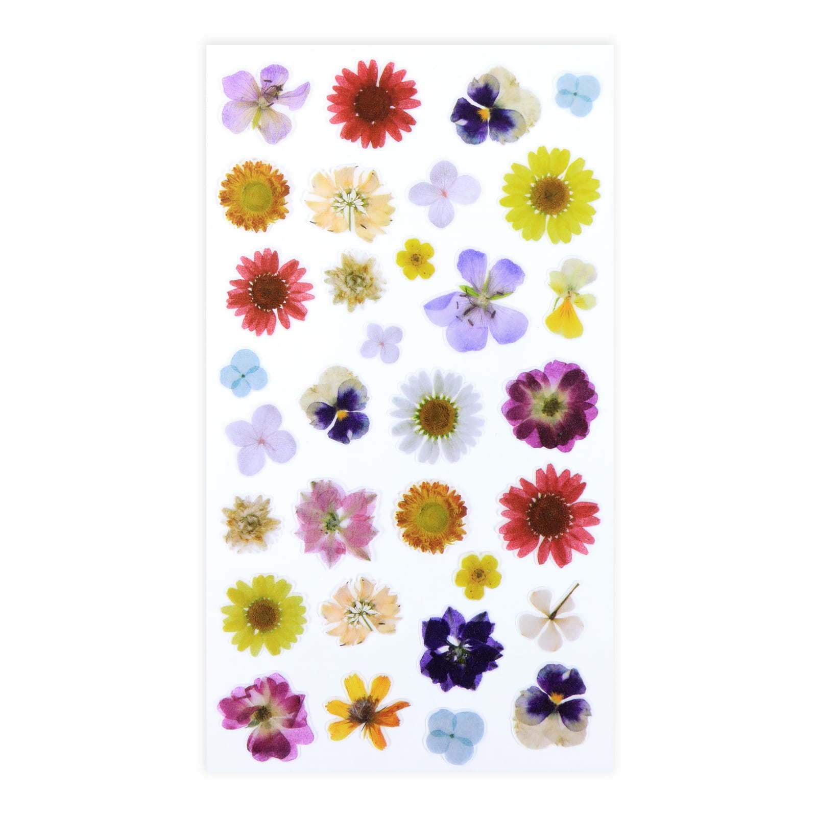 12pcs Dried Real Pressed Flower Stickers dyed pressed flower for phone –  Rosebeading Official