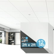 12-Pack Drop Ceiling Tiles 2ft x 2ft in White, PVC Ceiling Tiles 24 x 24in