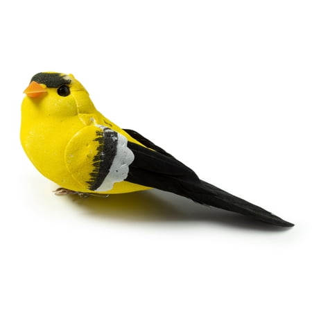 12 Pack: Finch Bird by Ashland