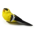 thumbnail image 1 of 12 Pack: Finch Bird by Ashland, 1 of 2