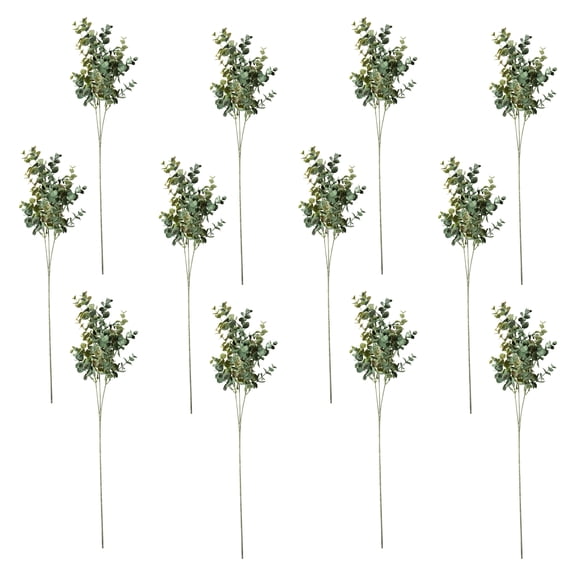 12 Pack: Green Eucalyptus Stem by Ashland