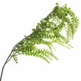 thumbnail image 1 of 12 Pack: Green Weeping Fern Spray by Ashland, 1 of 3