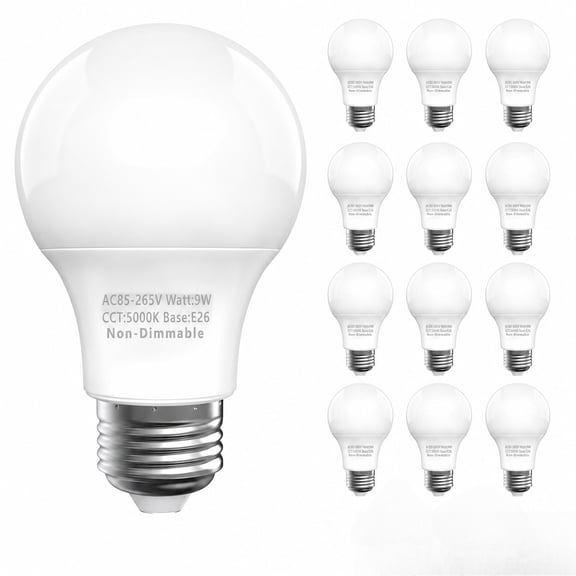 12-Pack Light Bulbs 60 Watt, Daylight White 5000K, A19 E26 LED Bulbs, Non-Dimmable
