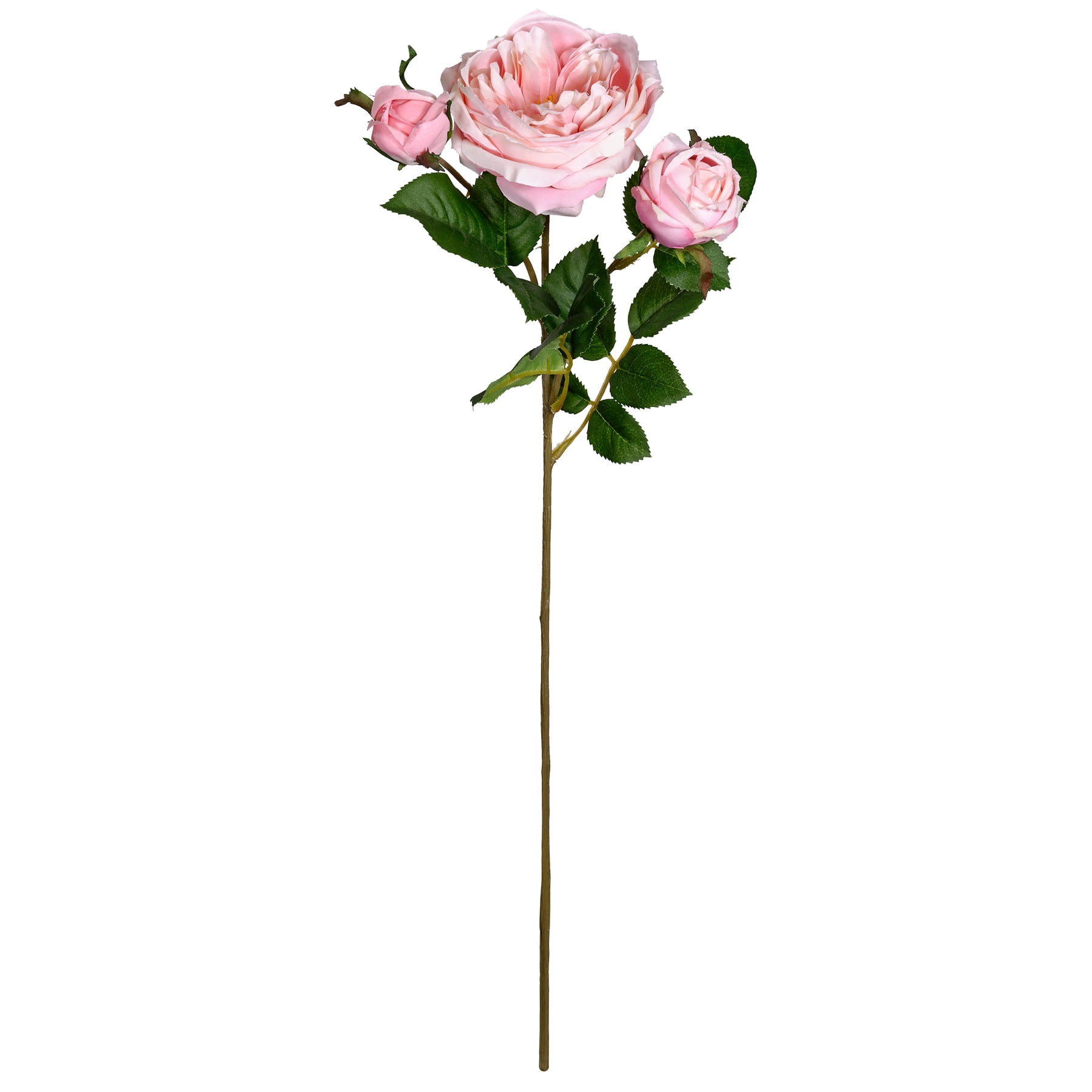 Rose Stems Preserved - Set of 6 (12 or 20) for stemming roseheads