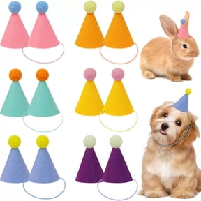 12 Pack Mini Party Hats, Birthday Party Cone Hats Animal Birthday Party Favors