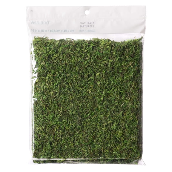 12 Pack: Moss Mat by Ashland