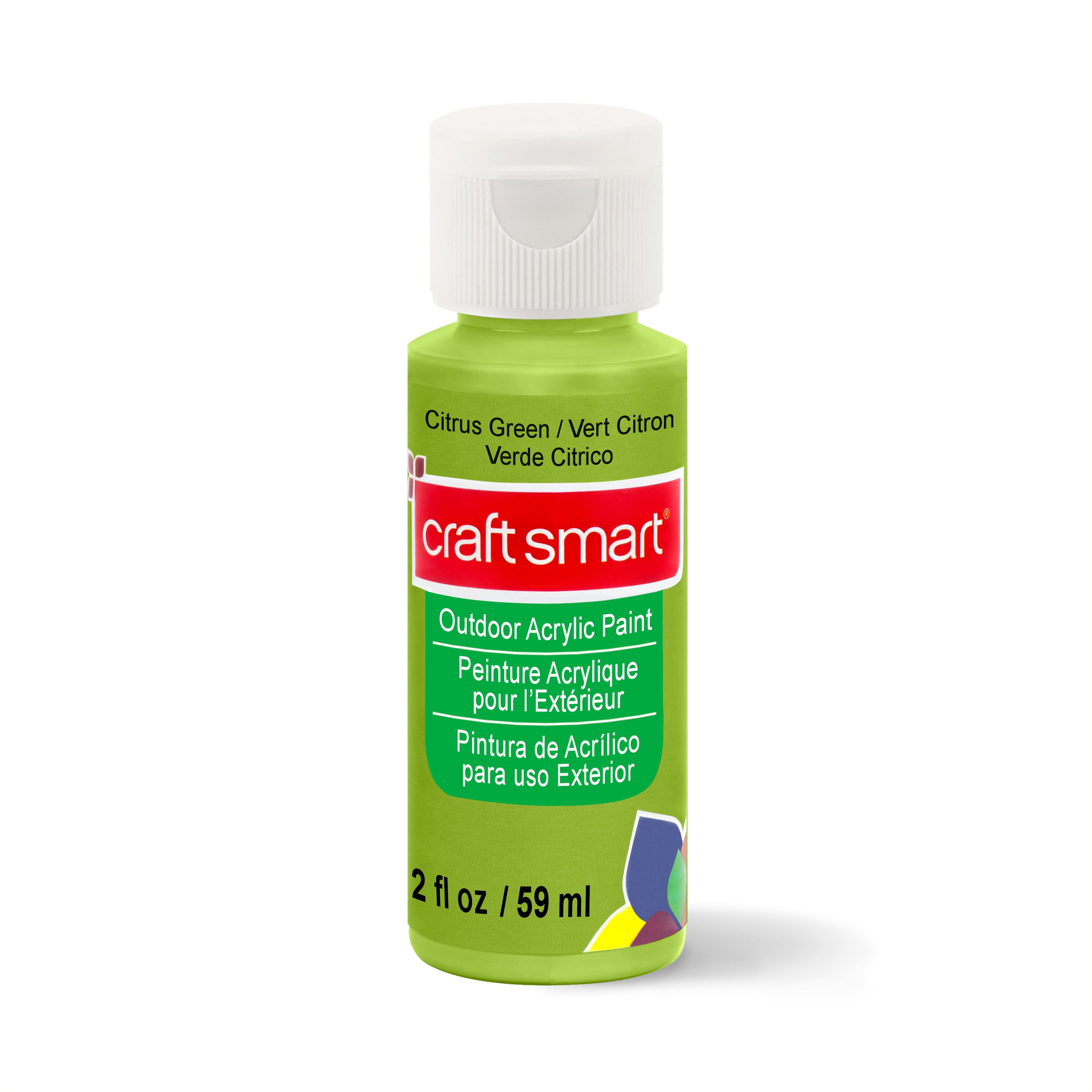 12 Pack Outdoor Acrylic Paint by Craft Smart®, 2oz.