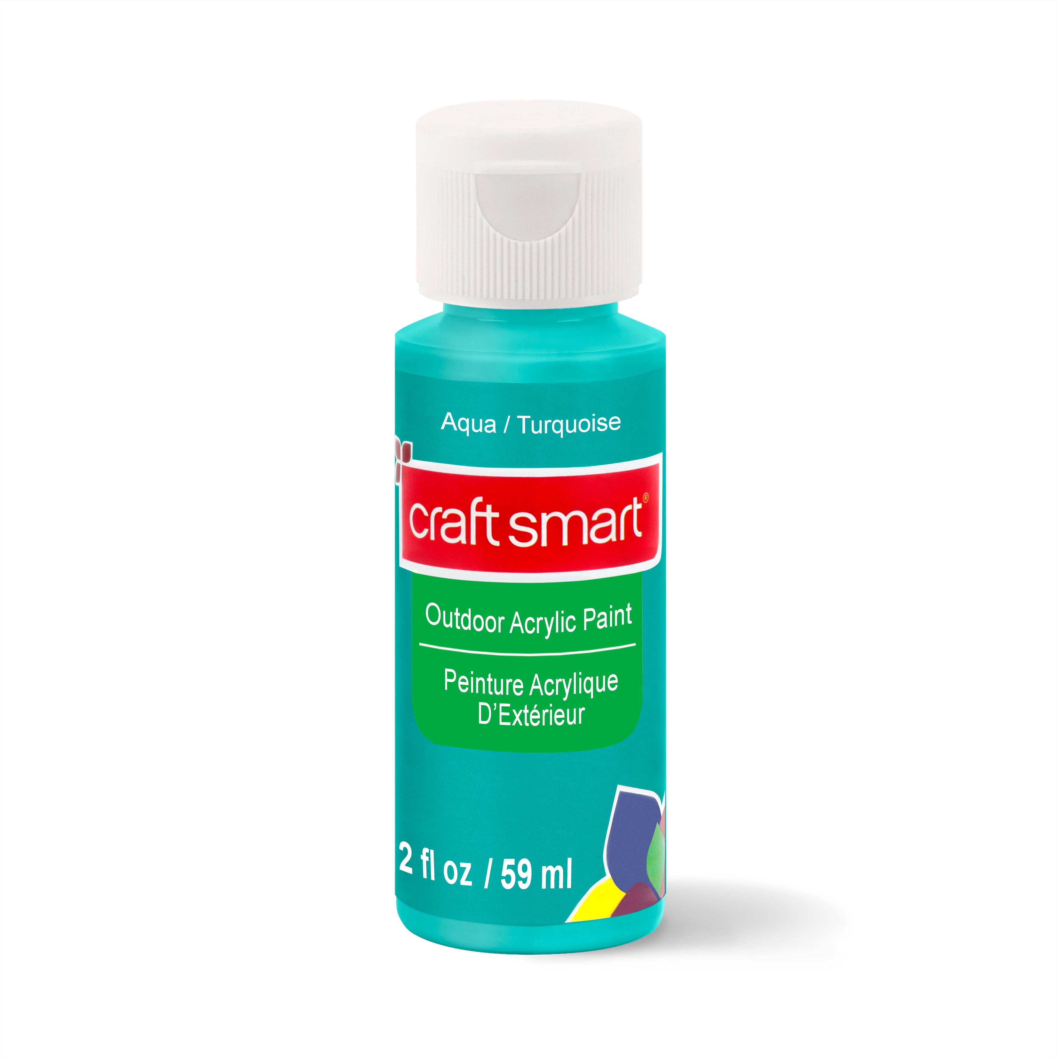12 Pack Outdoor Acrylic Paint by Craft Smart®, 2oz.
