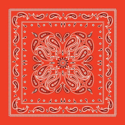 12 Pack: Paisley Bandana by Make Market® - Walmart.com