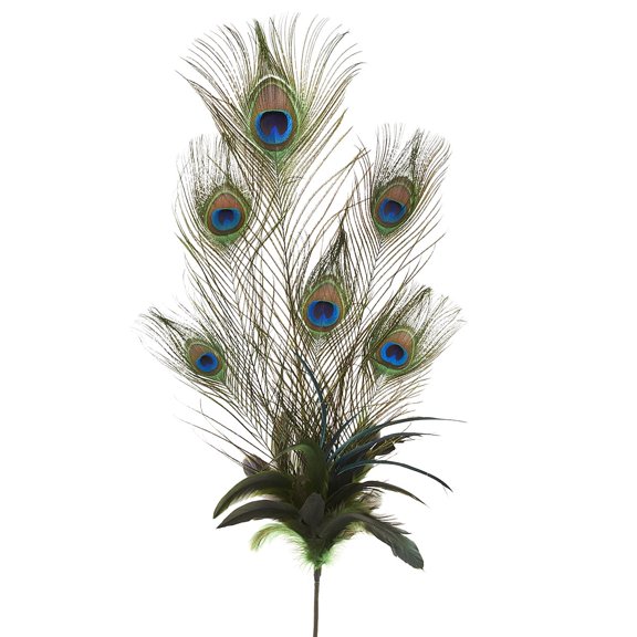 12 Pack: Peacock Feather Pick by Ashland