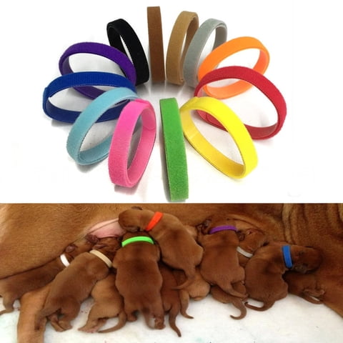 12 Pack Pet ID Collars for Puppies and Kittens, Soft Whelping Bands with Adhesive Label Strips, Adjustable Cut-to-Fit Collars for Small Dogs Cats, Pet Care Supplies