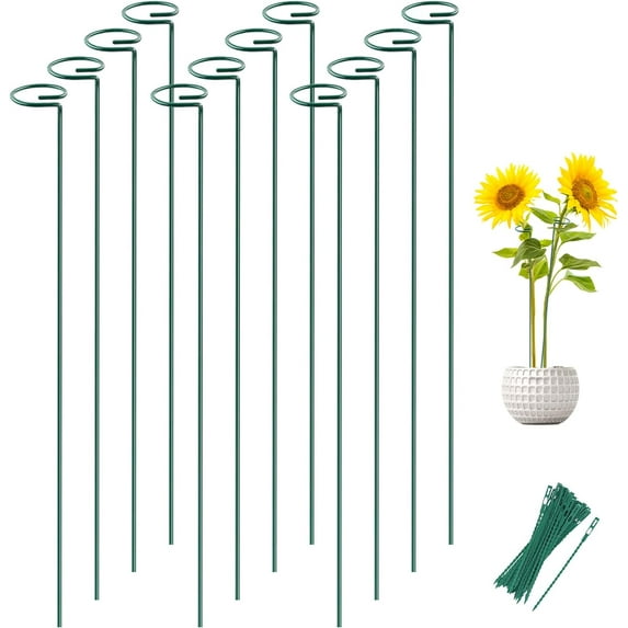 12 Pack Plant Stakes, 16 Inch Plant Support Stakes, Plant Sticks Support with 24 Twist Ties, Flower Stakes for Plants Peony, Amaryllis, Marigold, Coreopsis, Tomato Seedling, Sapling Etc