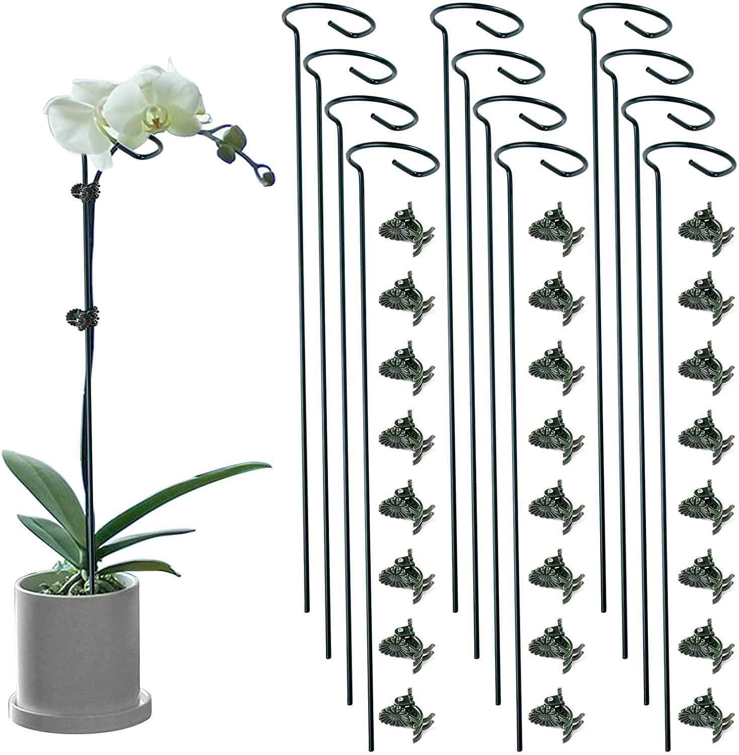 24" Dark Green Adjustable Metal Plant Support Stakes with Clips