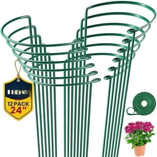 12-Pack Plant Support Stakes - 10"W x 24"H Half-Round Cages for Indoor/Outdoor Flowers, Peony, Tomato, Hydrangea & Rose
