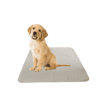 12 Pack Puppy Training Washable Pee Pad - Whelping Absorbent Reusable Pads Carpet/Seat Protection
