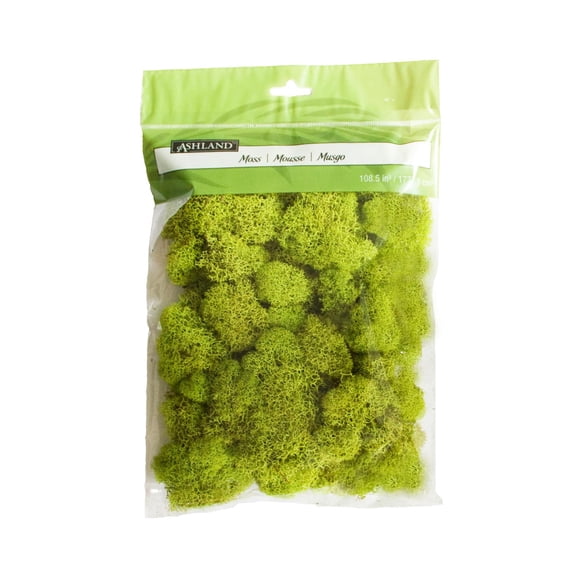 Ashland Reindeer Moss, 12 Pack