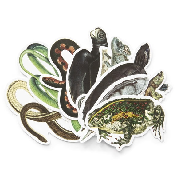 Recollections Reptiles Die Cut Stickers, 12 Pack