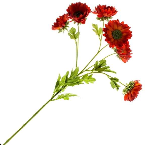 12 Pack: Rust Daisy Mum Spray by Ashland