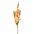 thumbnail image 1 of 12 Pack: Salmon Gladiolus Stem by Ashland, 1 of 2