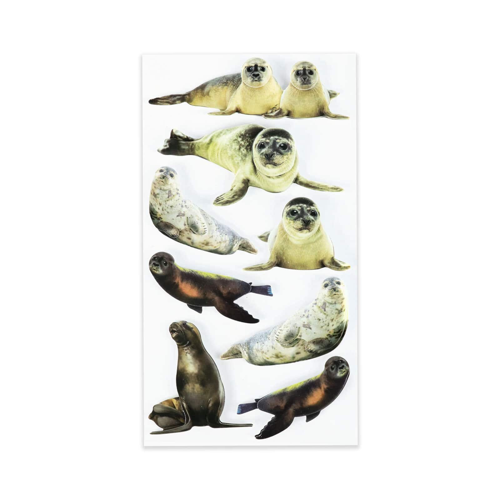 12 Pack: Seal Stickers by Recollections™ - Walmart.com