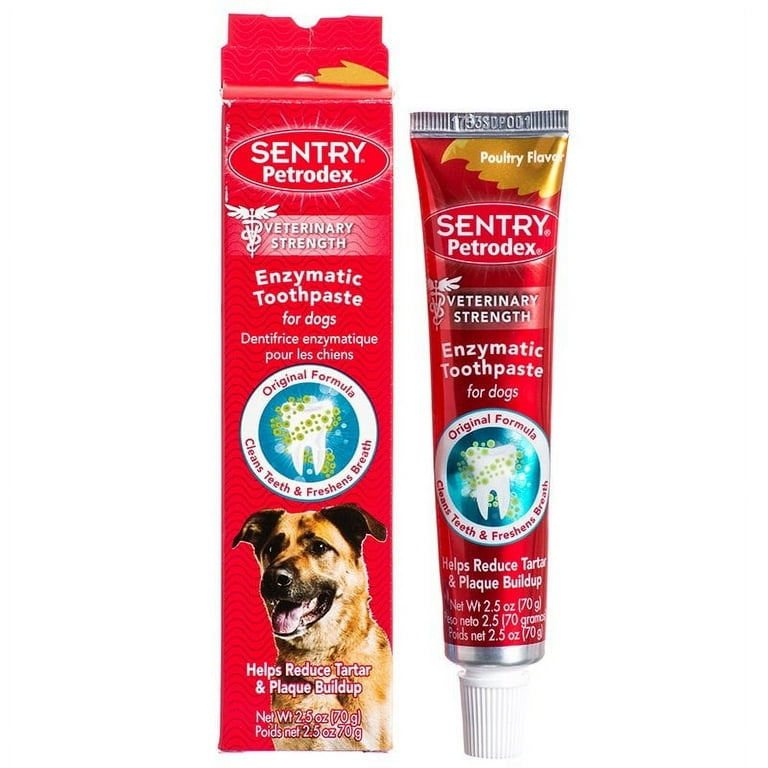 Poultry flavored dog toothpaste hotsell