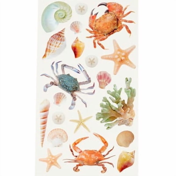 Recollections Shell Stickers, 12 Pack
