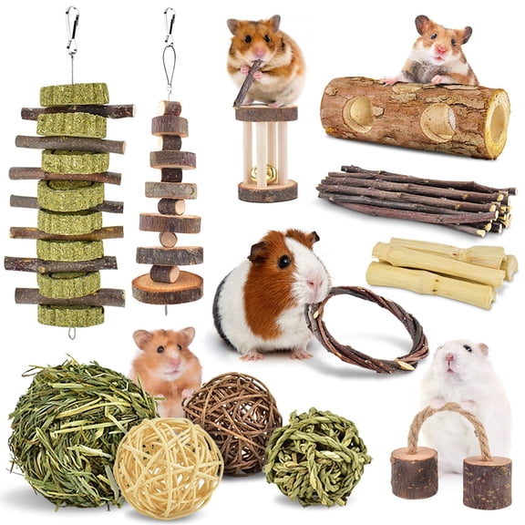12 Pack Small Animal Wooden Exercise and Molar Toys