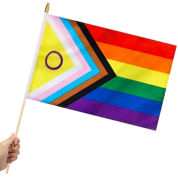 12 Pack Small Intersex Pride Flags 12x18 Inch Rainbow Handheld LGBTQ Flags with 24 Inch Wooden Pole