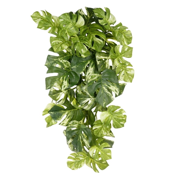 12 Pack: Split Hanging Philo Bush by Ashland